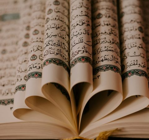 ashkan-forouzani-sfmsMZ7ezXw-unsplash